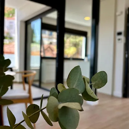 The Olive Tree House 度假居